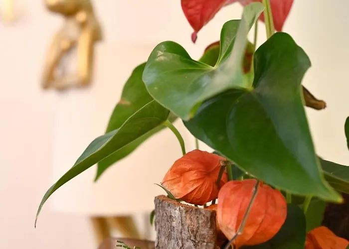 Gloriette - Boutiqueappartements Am Woerthersee Aparthotel 4*