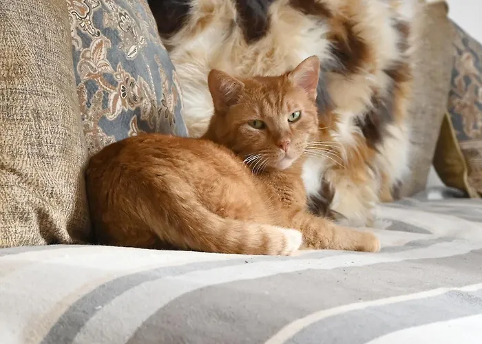 Gloriette - Boutiqueappartements Am Woerthersee Hotel apartamentowy